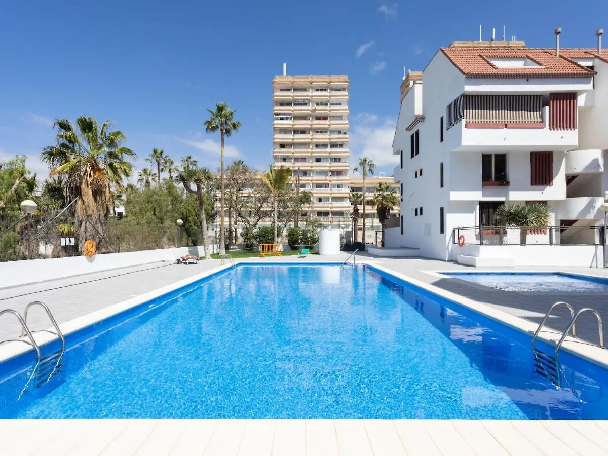 Apartment Altemar H3 By Interhome Playa de las Americas   Playa de las Americas (Tenerife)
